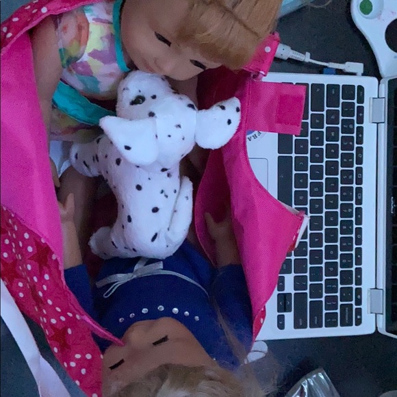 2 AGDs 1 dog 1 person carrier and 2 person carrier - Picture 7 of 8